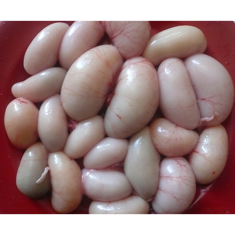 苏北农家新鲜活杀公鸡蛋公鸡卵鸡腰子小草鸡睾丸鸡肾剦蛋500g