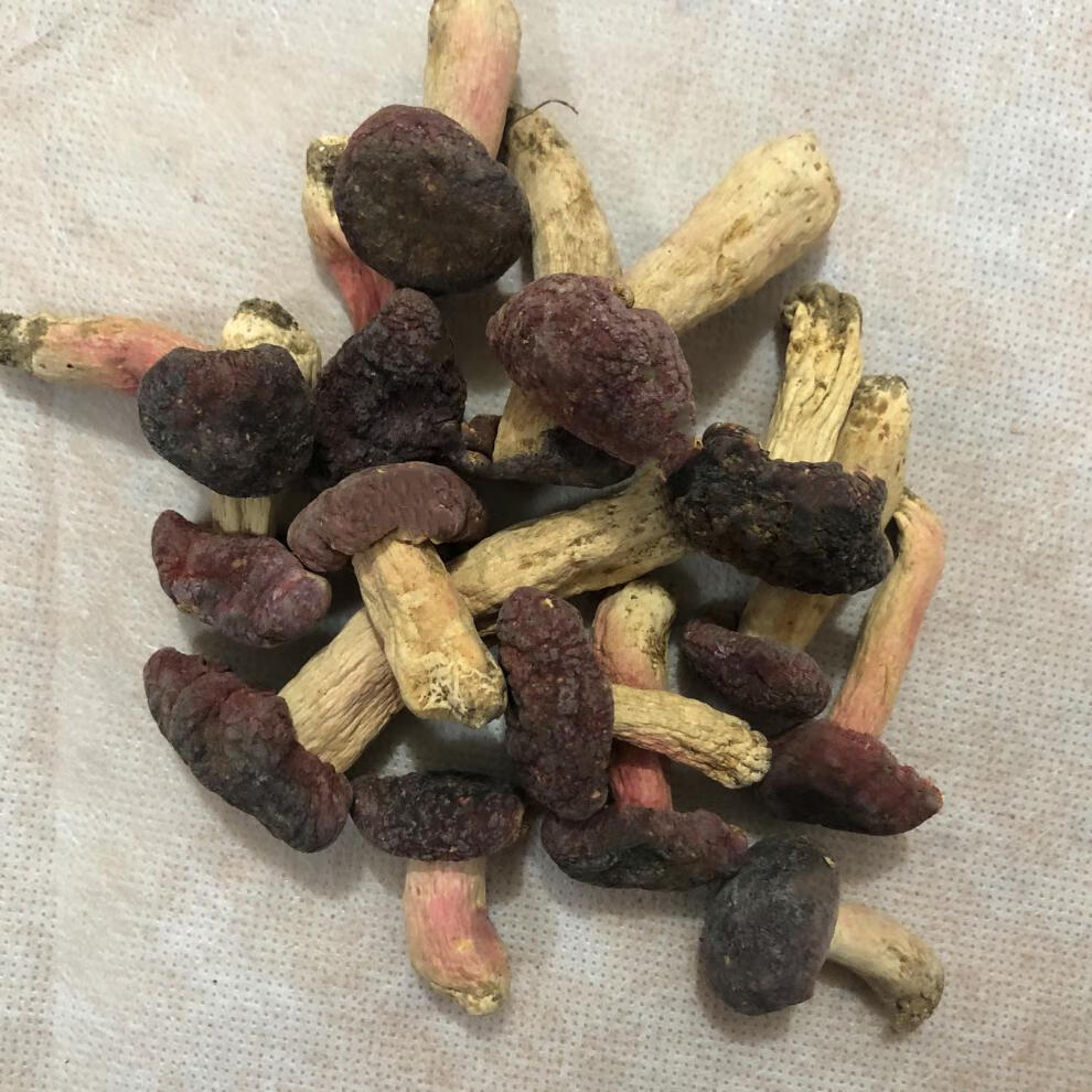 5折 新武夷山野生小红菇福建特产红椎菌干货红蘑菇小菇蕾 500g【图片