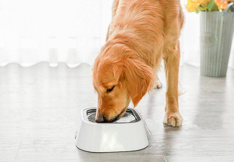 舒拜狗狗碗水盆漂浮防溅不湿嘴喝水碗大号大型犬狗盆金毛饮水宠物用品
