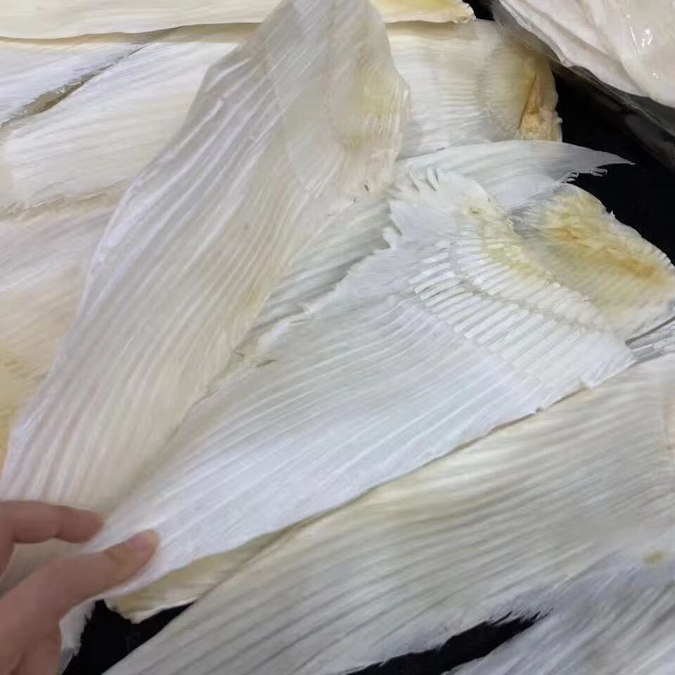 干货 牙拣翅10寸-22寸规格干货海味滋补超多翅针高端 14-16寸500克