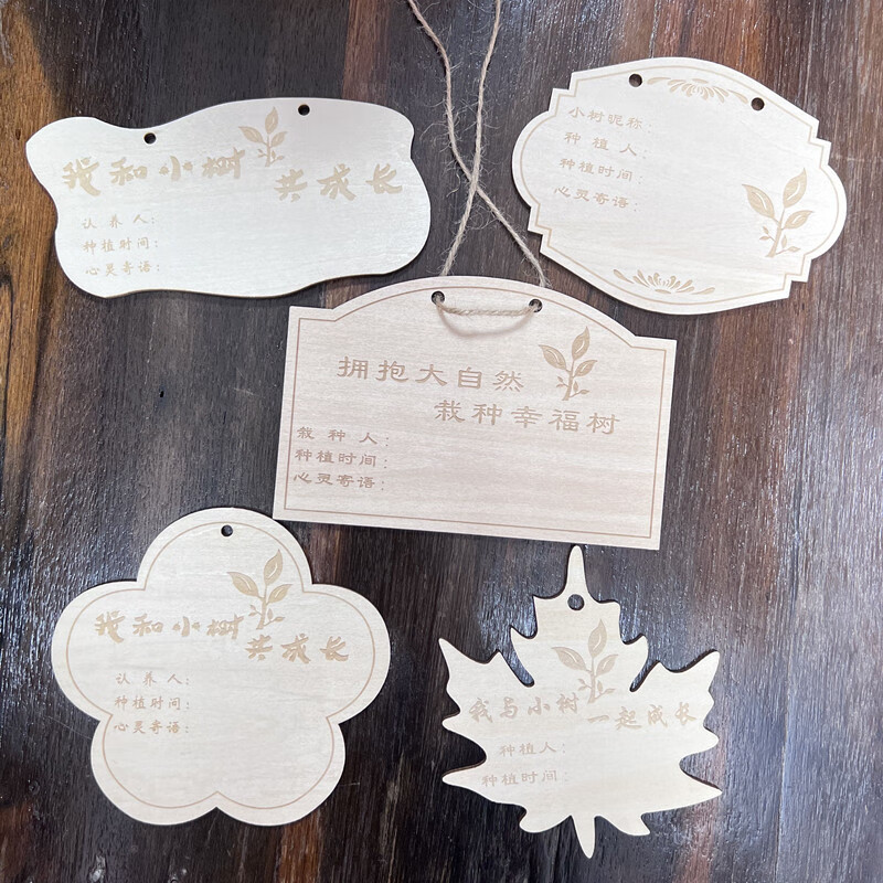 兰琦欧10片定做木质挂牌 学校植树节吊牌 树木认养牌 植物标签牌 名字