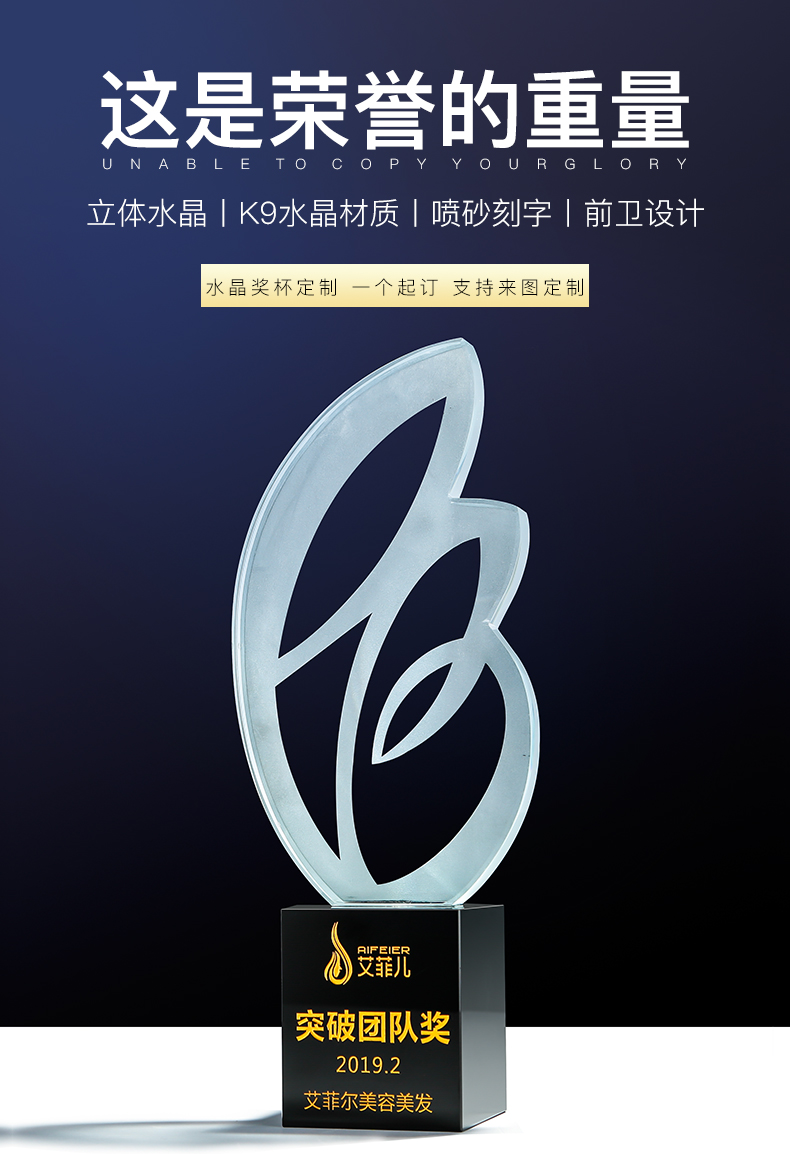 飞创 梦想羽翼水晶奖杯 翅膀奖杯比赛活动公司颁奖员工奖品