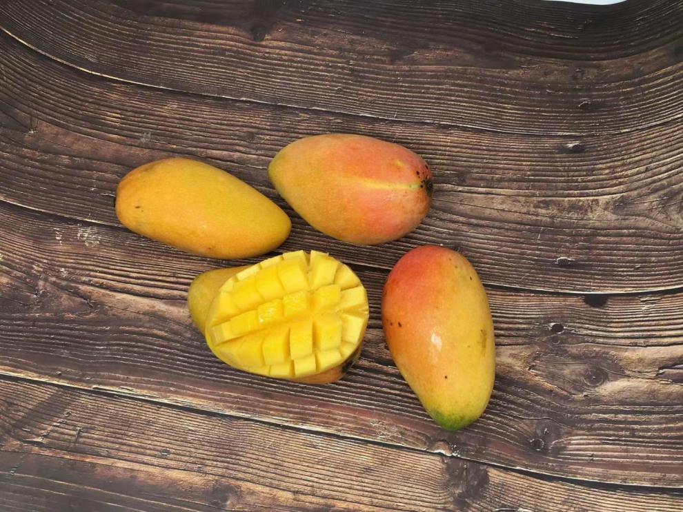 云南高原金耀芒果8斤中大果带箱树上新鲜熟小纸核芒果【图片 价格