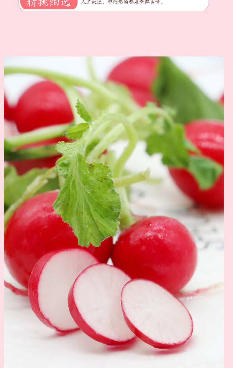 东北农家蔬菜新鲜樱桃萝卜现摘小水萝卜菜小红萝卜带缨蘸酱菜沙拉3斤