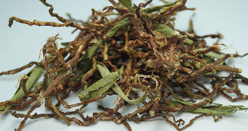 有仁堂山蜜草茶山蜜茶花蜜草甜茶凉茶祛火茶润喉茶夏天茶500克赠250克