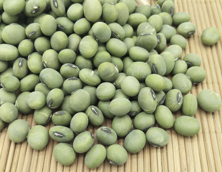 新大青豆5斤 农家生大青豆青皮青芯大青豆双青豆做豆腐豆浆泡菜豆