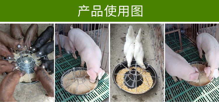 喂猪食槽仔猪小猪补料槽喂料槽保育神器养猪养殖设备不锈钢猪槽盆 50