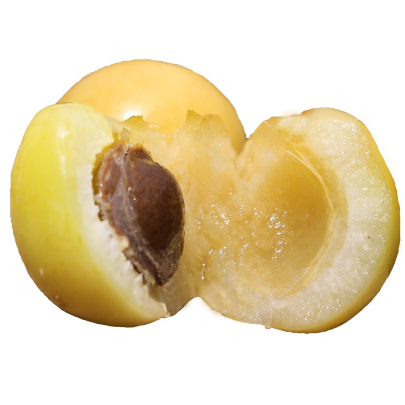 顺丰速运新疆库车轮台小白杏新鲜果特产应季水果杏子现摘现发甜杏当季