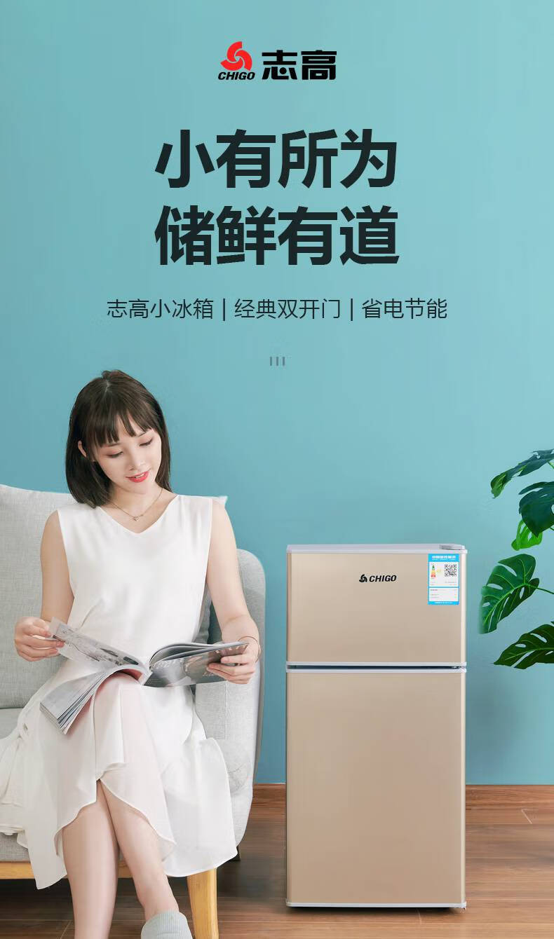 志高chigo冰箱家用小型冷藏冷冻单人迷你宿舍租房节能双开门小冰箱单