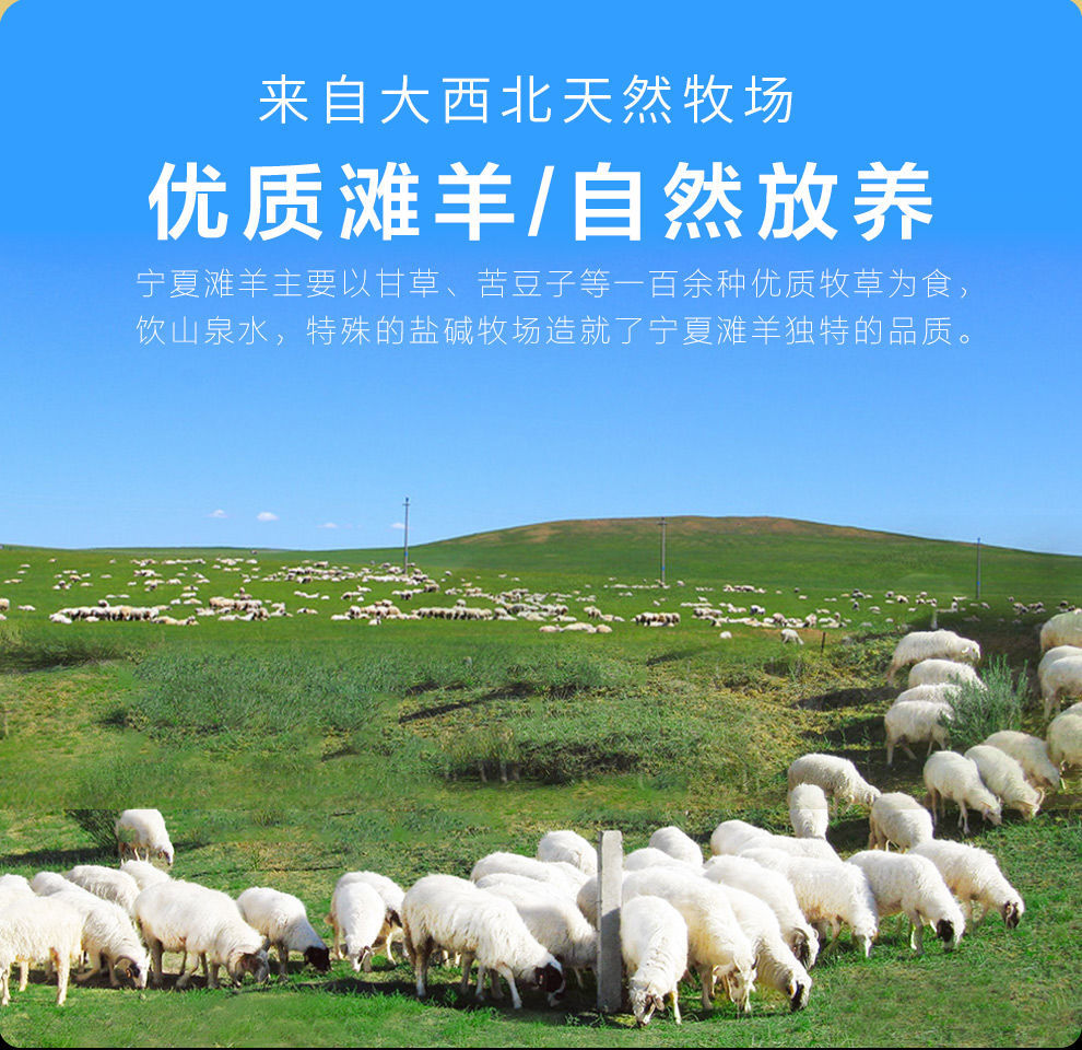 新鲜宁夏滩羊肉盐池滩羊羊肉批发后腿肉剔骨清真羊后腿羊蝎子烧烤 羊