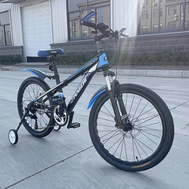 自行车辅助轮成人 成人变速自行车辅助轮18吋20吋22吋通用儿童车变速