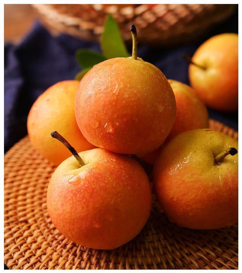 鞍山南果梨产地直发正宗东北特产水果孕妇水果香水梨醉梨软梨10斤 5斤