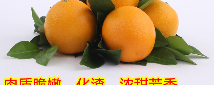 赣州市赣南脐橙协会联系方式