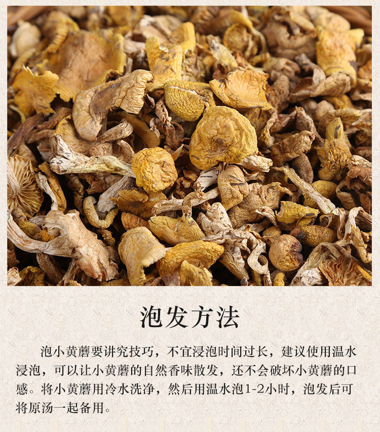 祁连黄蘑菇 多规格 东北特产 小黄蘑松树 黄油菌 榆黄蘑小鸡炖蘑菇