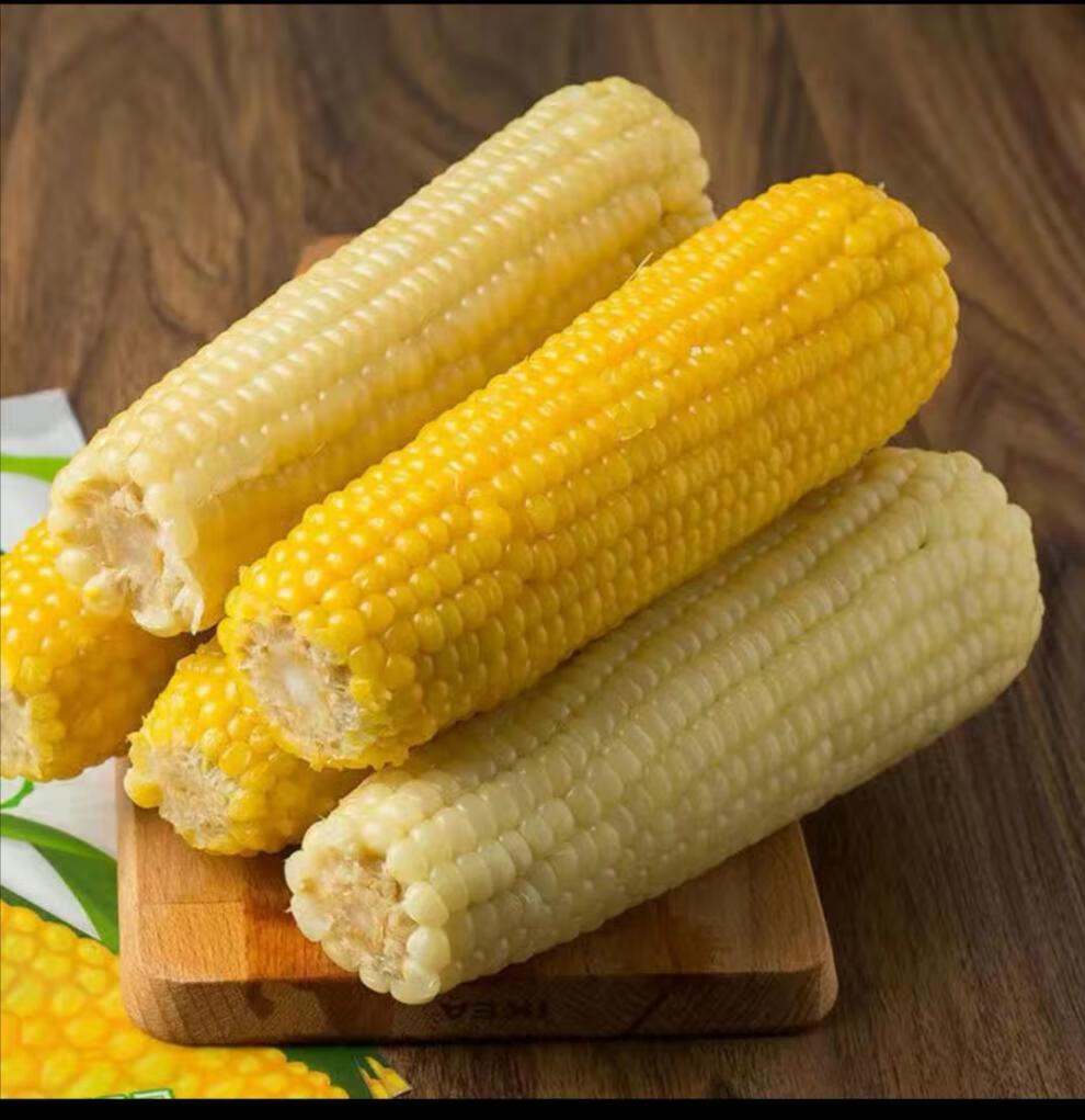 速冻白糯玉米东北糯玉米玉米棒 单棒300g 白黏玉米粗粮代餐早餐 速冻
