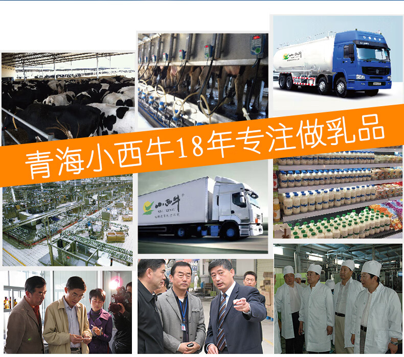 青海小西牛牛奶243ml12瓶整箱小瓶装小犀牛纯牛奶小孩子喝的牛奶