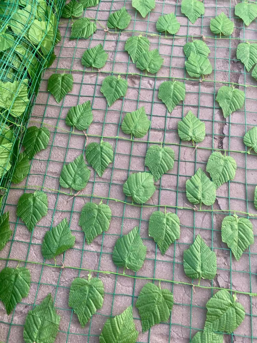 仿真绿叶网大型护栏绿叶装饰山体绿化护坡航拍遮阳仿真爬山虎加重款