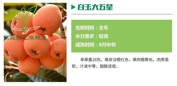 附近果树苗出售联系方式