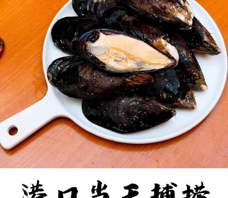 当天捕捞鲜活新鲜无沙大海虹贻贝青口贝当季鲜活淡菜冷链1斤装