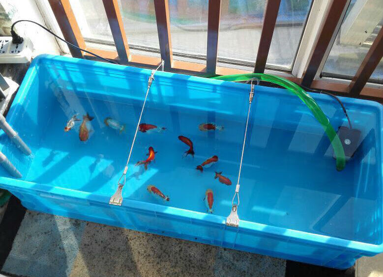 加厚塑料周转箱长方形特大号养鱼养龟箱水产养殖胶箱乌龟筐物流框外