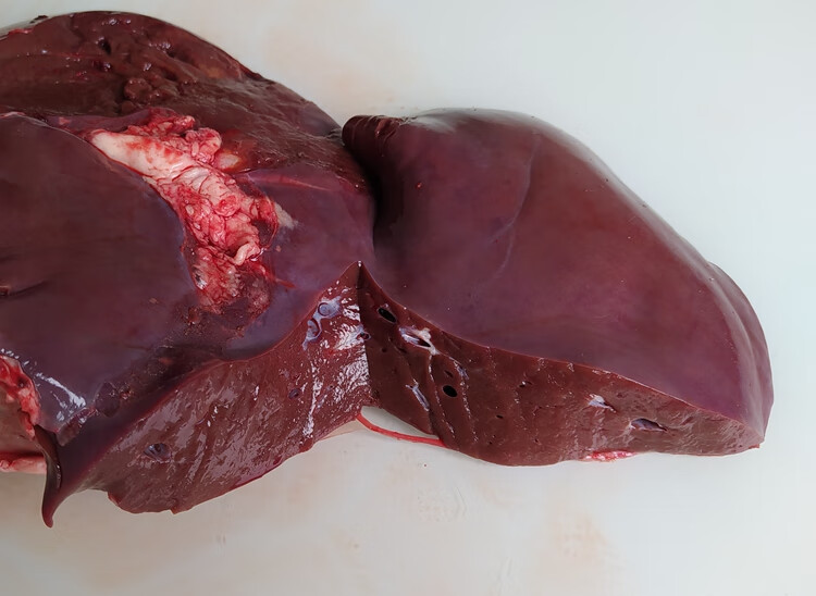 湘明有絮新鲜牛肝南阳黄牛肝生牛肝牛杂牛下水河南本地黄牛肝脏1000g