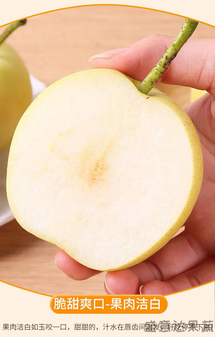 河北皇冠梨10斤装应季新鲜现摘水果梨子5斤10斤5斤装单果200克以上脆