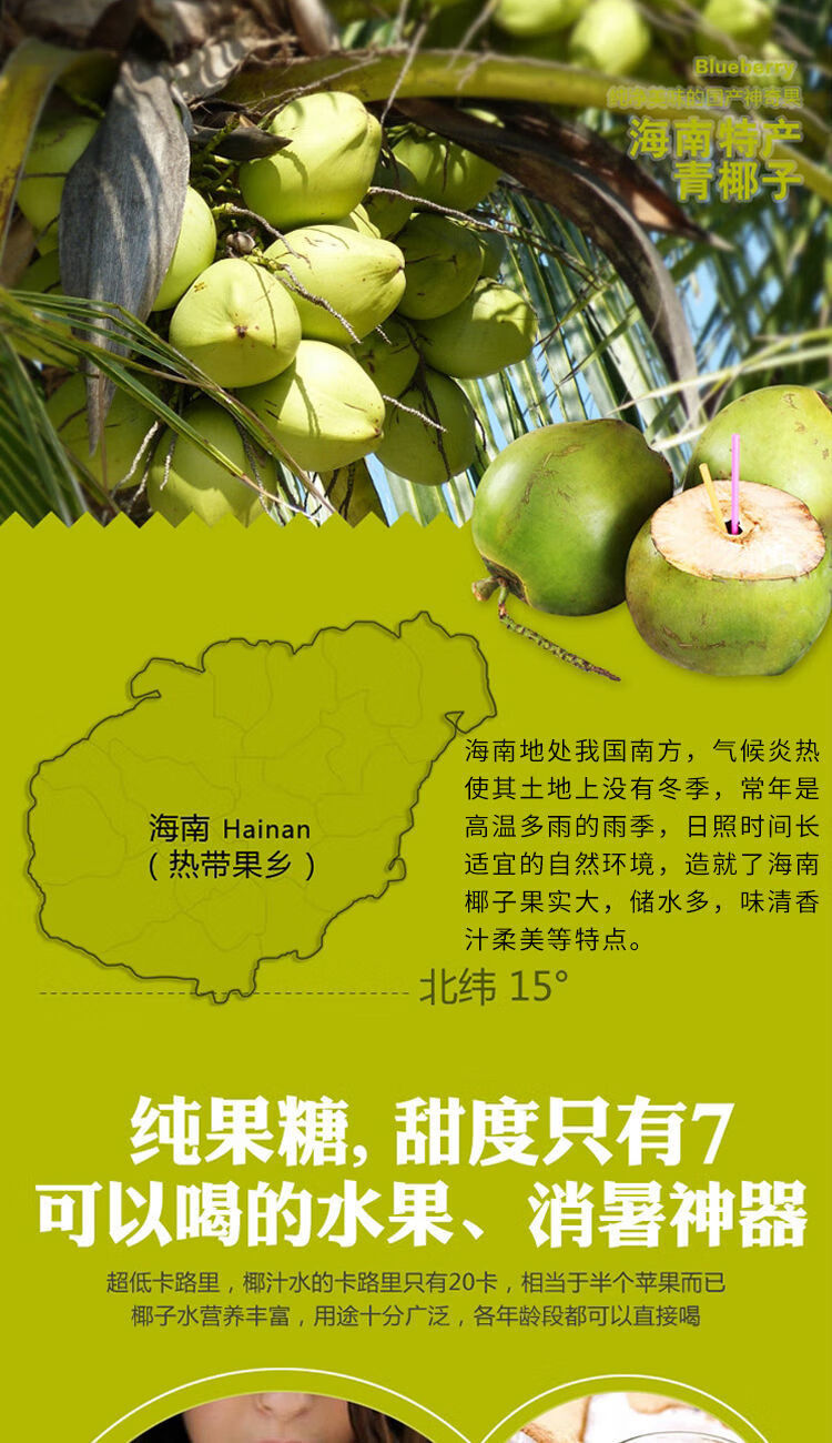 现摘海南特产水果椰子应季带皮椰青新鲜热带椰子孕妇儿童水果鲜椰青6