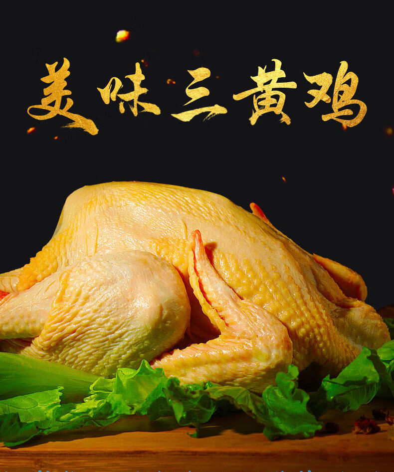 农家土鸡散养三黄鸡公鸡笨鸡柴鸡跑山鸡 三黄土鸡3只(共3.8斤-4.