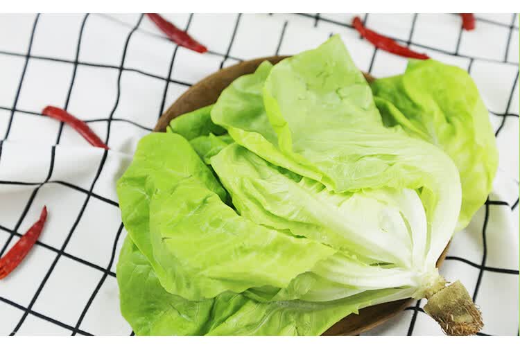 新鲜奶油生菜5斤 波士顿沙拉菜 蔬菜配菜