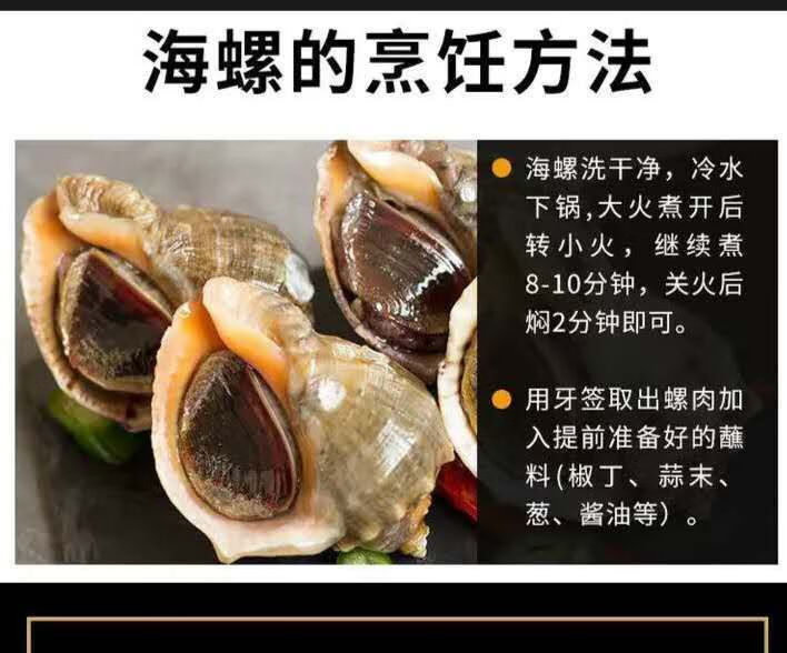鲜活海螺海捕新鲜大海螺大小海螺鲜活海鲜水产螺类半斤1215个斤