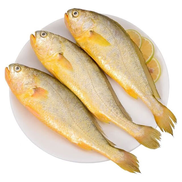 温州特产醇香黄鱼鲞新鲜东海海鲜生鲜大黄鱼免洗即烹脱脂黄鱼干300g