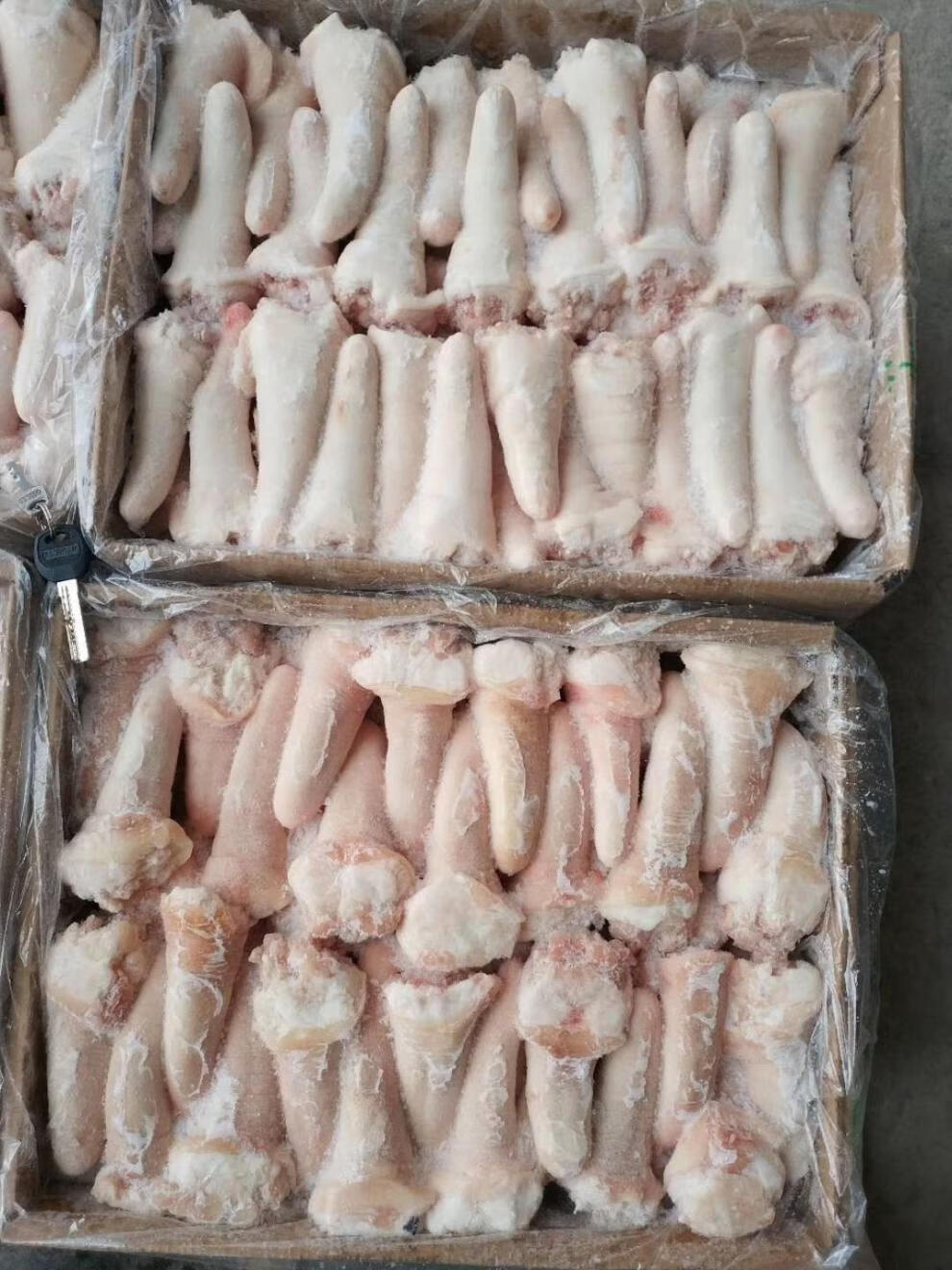 新鲜冷冻猪尾巴 猪尾 猪短尾 猪尾巴 猪尾 猪短尾 5斤特惠 其他地区