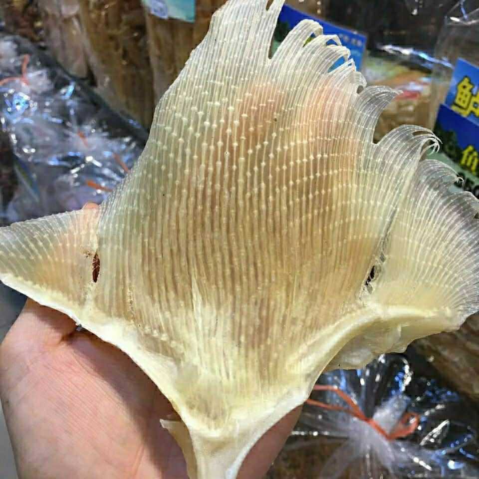 批发海狗翅浦鱼鳍浦鱼干浦鱼骨软骨浦鱼软翅海鲜煲汤料海味干货 中号