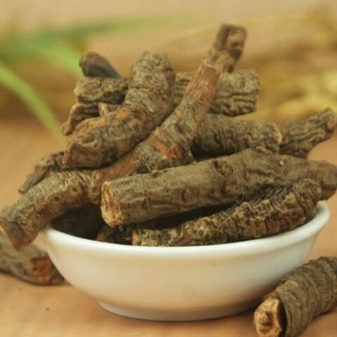 官方滋补中药材云南血三七盘龙七根地白菜根岩白菜根500克1000克