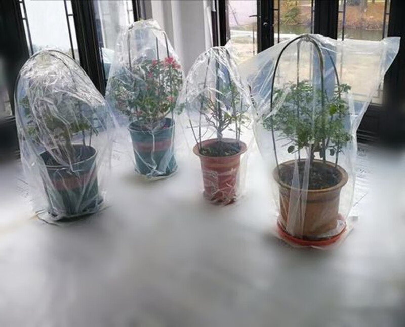 花卉防冻保温膜 植物防冻保温罩盆栽防寒套鲜花卉果树木苗过冬季保温