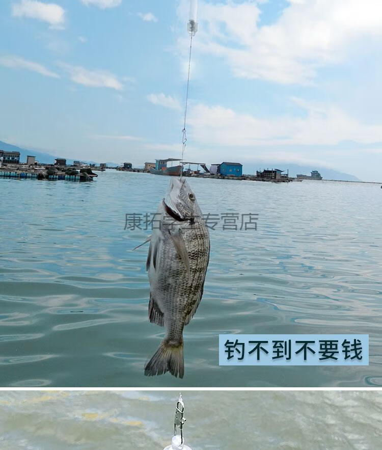 蕾迪熊leidixiong卡点钓鱼神器自动钓鱼钩触动圆筒垂钓神钩鱼具用品