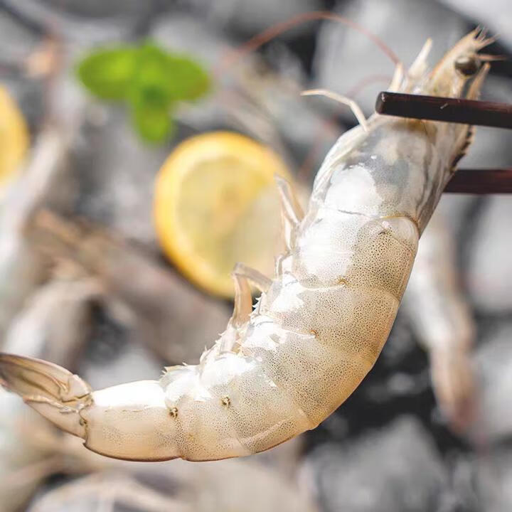 大虾连云港海虾青岛虾南美白对虾盐冻活冻食用白虾水产3斤