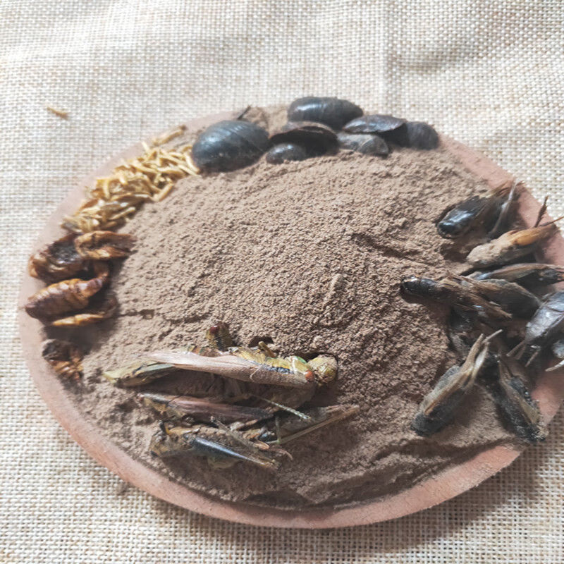 混合粉蝗虫蟋蟀土元蚕蛹五谷虫鸟食一比一配比下单现磨粉100克