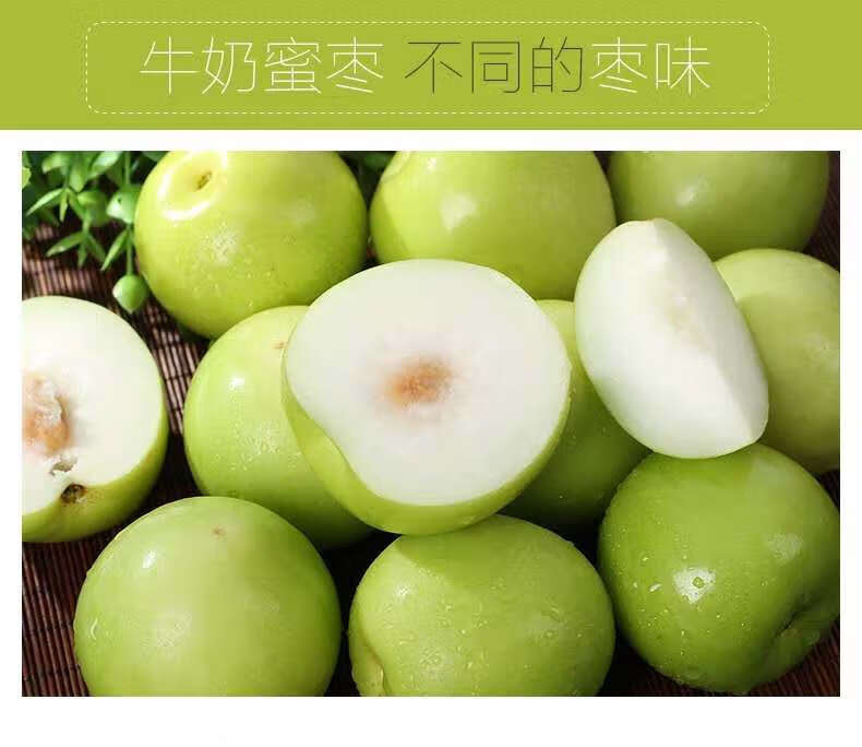 【坏果包赔】牛奶枣大青枣贵妃枣蜜枣冬枣 牛奶枣(3斤装)精选果【图片