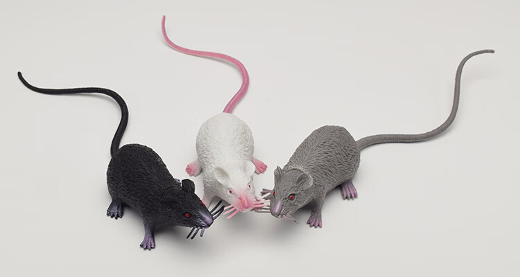 仿真老鼠塑胶模型老鼠模型空心白灰黑鼠拍摄写真道具塑胶整蛊吓人好玩