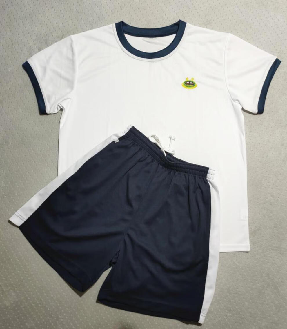东莞东华初三校服初级中学校服高二高三 东华高中t恤/深藏蓝 高三复读