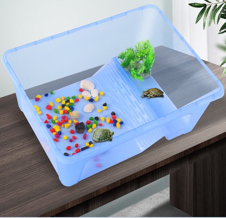 泡沫箱自制生态养龟图片
