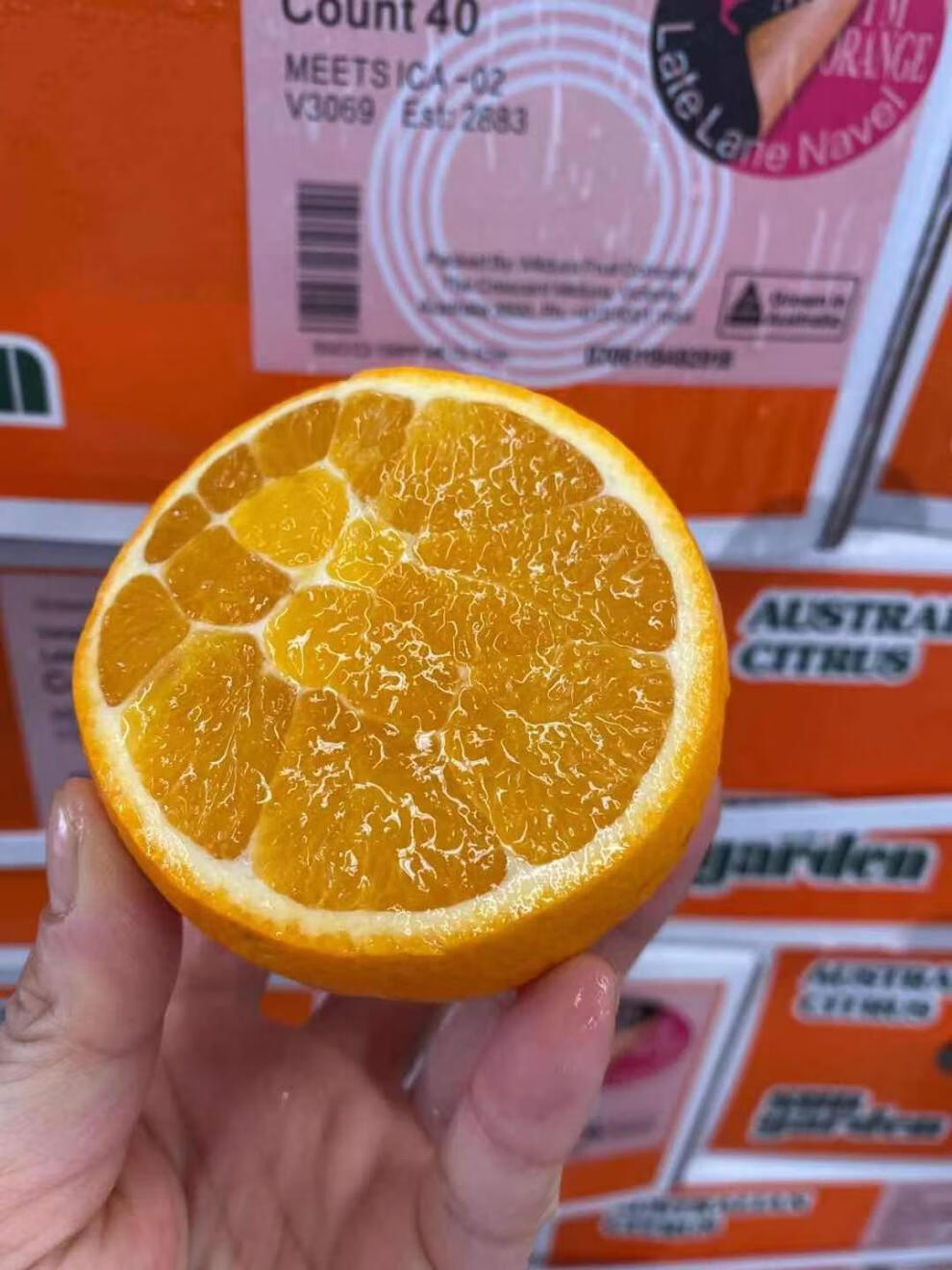 当季新品澳大利亚澳洲mfc袋鼠橙脐橙新鲜橙子水果5斤澳橙70mm含75mm不