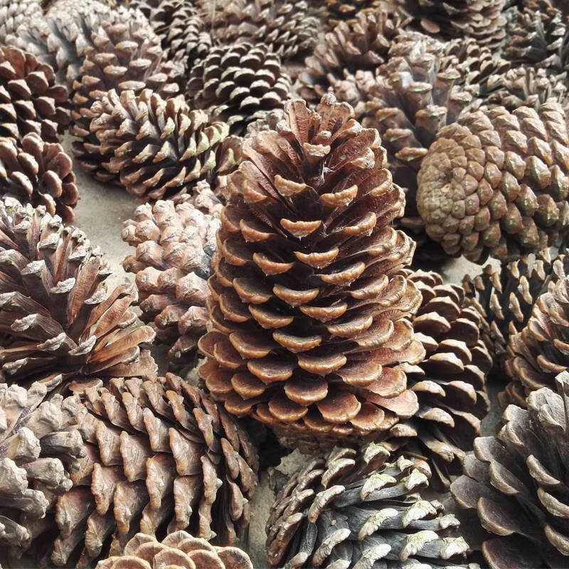 圣诞装饰网红大松果球饰品松塔装饰摆件幼儿园环创手工diy材料作品