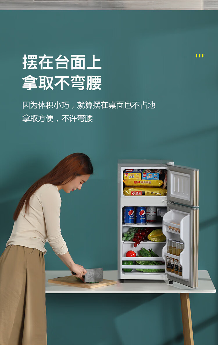 志高(chigo) 志高小冰箱家用小型租房用冷藏冷冻出租屋宿舍二人用节能
