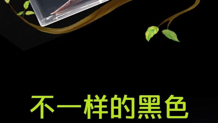 6，寵以沫【甄選廠家】爬寵飼養盒蝸牛蜘蛛角蛙烏龜樹棲躲避兩棲爬蟲飼養箱 爬寵飼養箱小號透黑2個