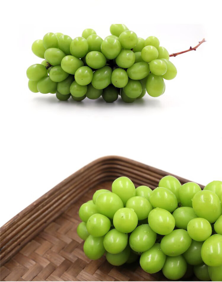 sam 玫瑰香青提葡萄 2kg 提子新鲜水果