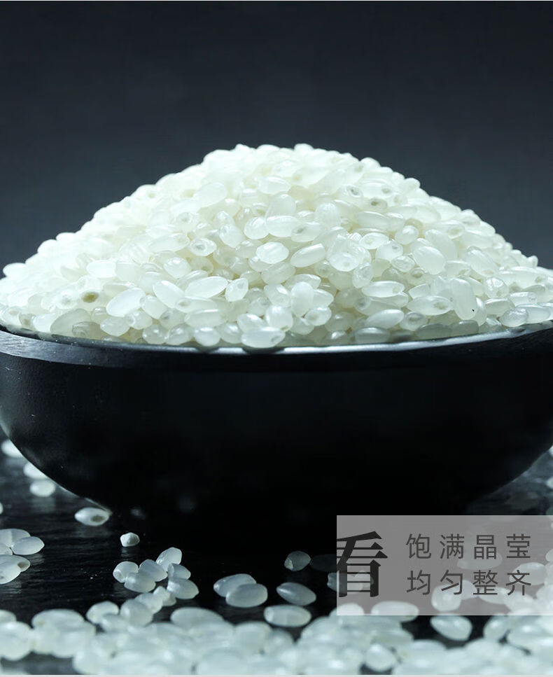 晨臻 秋田小町 东北大米21年吉林梅河口新大米农家米小町寿司米珍珠10