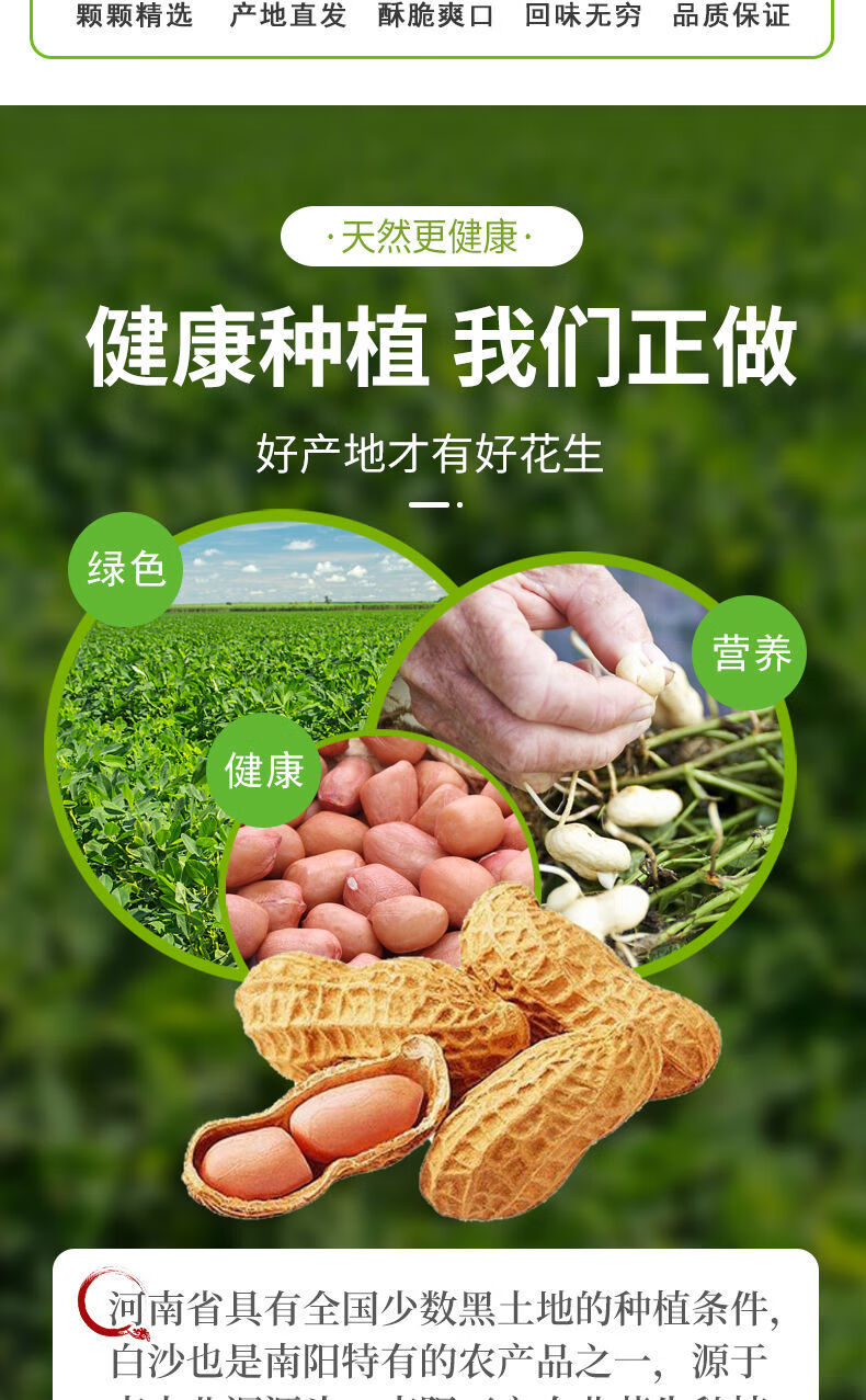 现剥新花生米生新货特级粉皮新鲜大粒花生米不带壳榨油白沙花生仁 大
