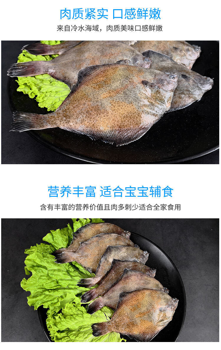 順豐鼓眼魚青島偏口魚鮮活高眼魚豆鼓魚生鮮牙片魚偏口魚生鮮批發